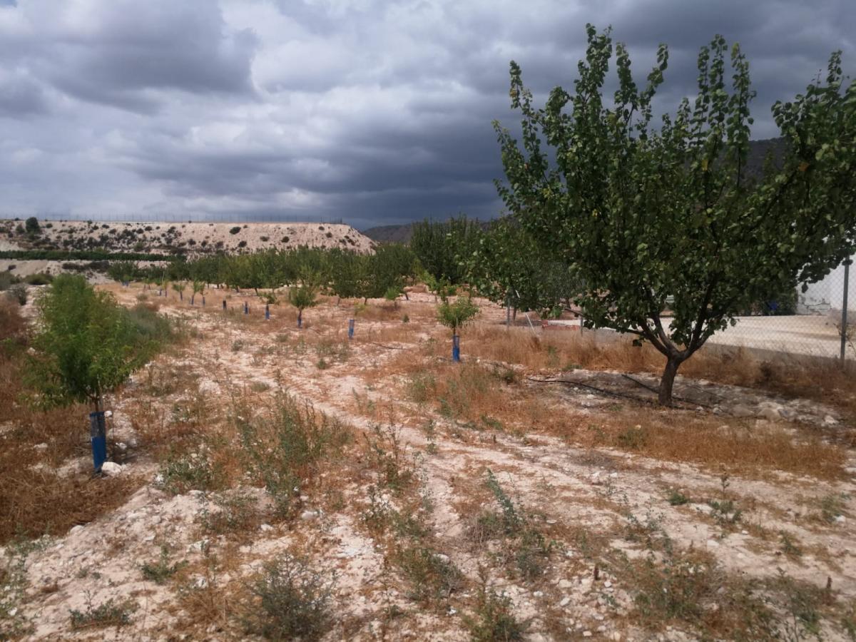 22-08-2019_IMG-20190821-WA0012 - copia.jpg